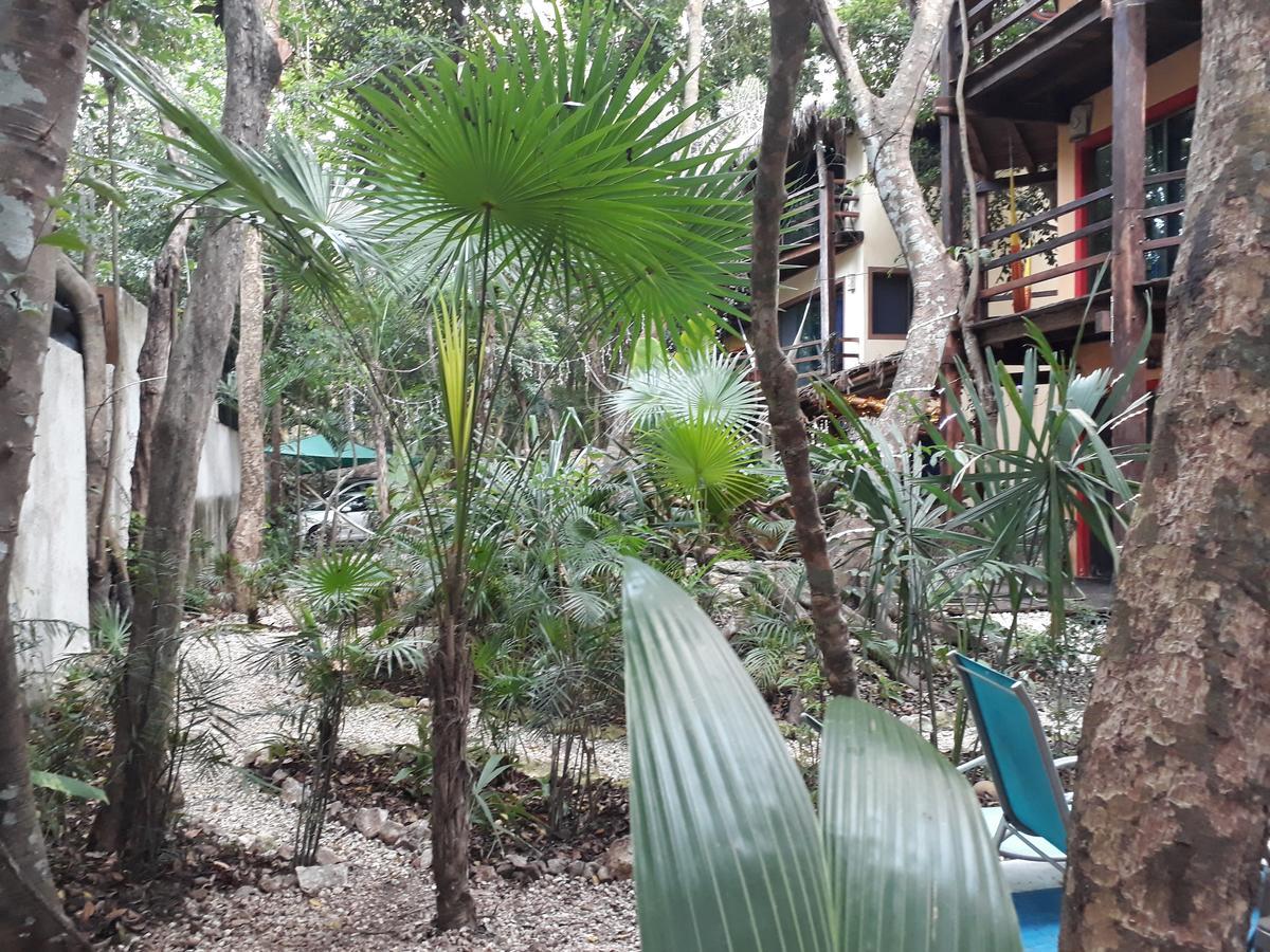 Bed and Breakfast Dolce Caribe Xcaret Плая-дель-Кармен Экстерьер фото